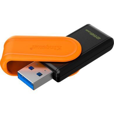 Флеш пам'ять KINGSTON (DTXS/256GB) [304423]