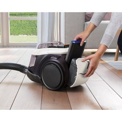 Пилосос Electrolux контейнерний, 650Вт, конт пил -1.6л, PureAdvantage D11, 4 насадки, білий (PC91-ALRG) [15595]
