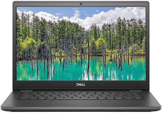 Ноутбук Dell Latitude 3410 14" FHD AG (N014L341014GE_UBU)