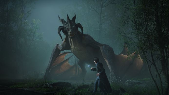 Гра консольна Switch Hogwarts Legacy, картридж (5051895414910) [106198]