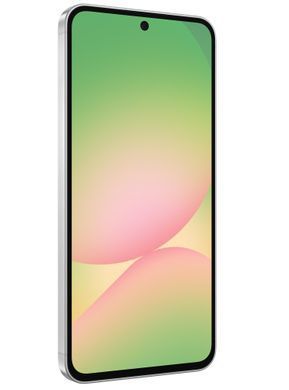 Смартфон Samsung Galaxy A56 5G 8/256GB Awesome Light Gray (SM-A566BZACEUC) [600203]