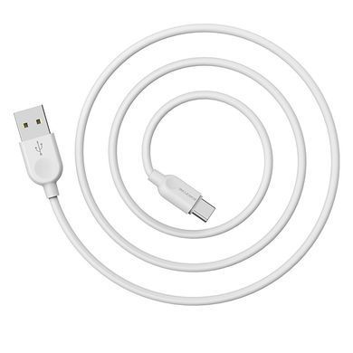 Кабель BOROFONE BX14 USB to Type-C 2.4A, 3m, PVC, TPE connectors, White (6957531090397) [803313]