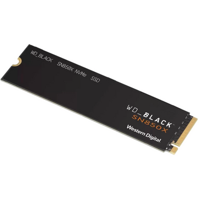 SSD диск WESTERN DIGITAL (WDS100T2X0E) [305610]