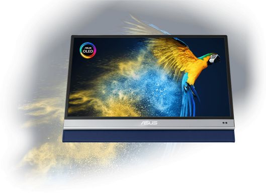 ASUS Монітор портативний LCD 13.3" ZenScreen MQ13AH (90LM07EV-B01170)
