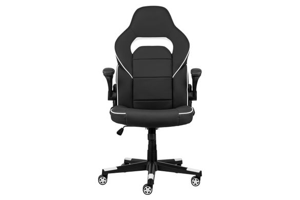 2E Gaming Ігрове крісло HEBI Black/White (2E-GC-HEB-BKWT)