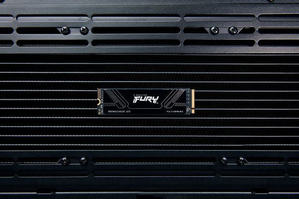 Накопичувач SSD Kingston M.2 8TB PCIe 5.0 FURY Renegade (SFYR2D/8T1) [112415]