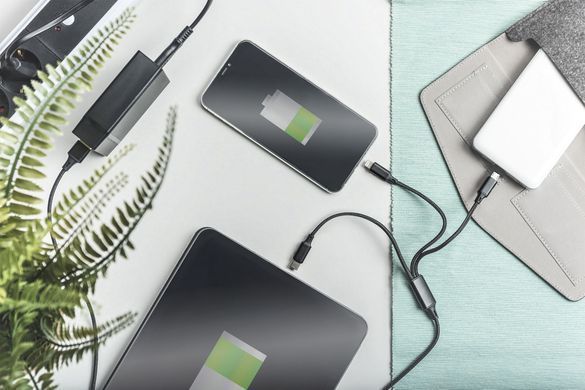 Кабель DIGITUS USB-A > Lightning/USB-С/micro USB, мультизарядний 3-в-1, заряджання/синхронізація 1м, чорний (AK-300160-010-S) [108533]