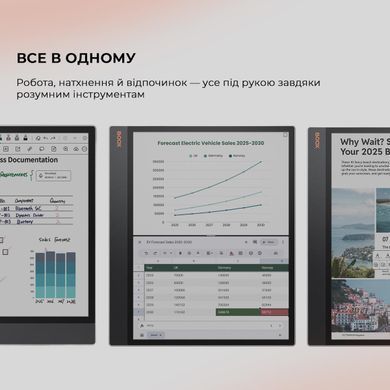 Електронна книга BOOX Tab X С (BOOX_TabX_С) [611776]