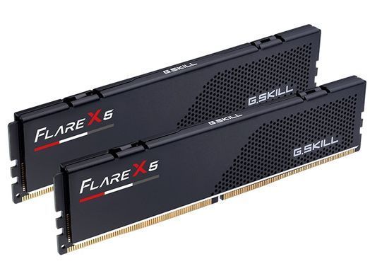 Модуль пам`ятi DDR5 2x16GB/5600 G.Skill Flare X5 (F5-5600J3636C16GX2-FX5) [611253]