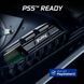 Накопичувач SSD 1TB Kingston Fury Renegade with Heatsink M.2 2280 PCIe 4.0 x4 NVMe 3D TLC (SFYRSK/1000G) [607906], фото 5