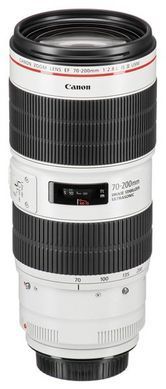 Об'єктив Canon EF 70-200mm f/2.8L IS III USM (3044C005) [107807]