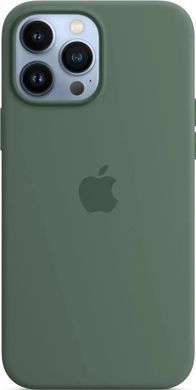 Чохол-накладка Apple Silicone Case with MagSafe для Apple iPhone 13 Pro Max Eucalyptus (MN6C3) [615800]