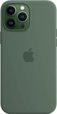 Чохол-накладка Apple Silicone Case with MagSafe для Apple iPhone 13 Pro Max Eucalyptus (MN6C3) [615800]