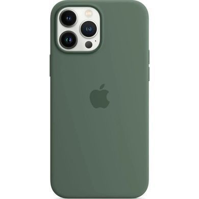 Чохол-накладка Apple Silicone Case with MagSafe для Apple iPhone 13 Pro Max Eucalyptus (MN6C3) [615800]