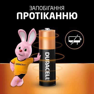 Лужні батарейки Duracell AA, 12 шт. (5014478/5014447/5016914/5016916) [203681]