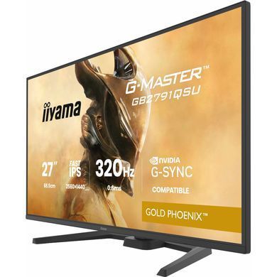 Монітор IIYAMA (GB2791QSU-B1) [305893]