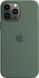 Чохол-накладка Apple Silicone Case with MagSafe для Apple iPhone 13 Pro Max Eucalyptus (MN6C3) [615800], фото 1