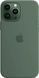 Чохол-накладка Apple Silicone Case with MagSafe для Apple iPhone 13 Pro Max Eucalyptus (MN6C3) [615800], фото 3