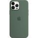 Чохол-накладка Apple Silicone Case with MagSafe для Apple iPhone 13 Pro Max Eucalyptus (MN6C3) [615800], фото 4