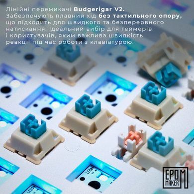Клавіатура бездротова Epomaker EK68 65% Budgerigar V2 Switch Hot-Swap (2.4G/BT/USB) RGB UA Black (EK68-B-BV2) [612993]
