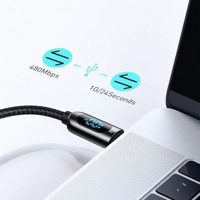 Кабель Baseus Display Fast Charging Data Cable Type-C to Type-C 100W 1m Black (CATSK-B01) [802526]