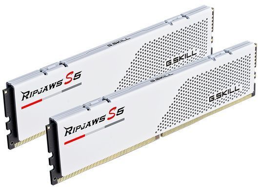 Модуль пам`ятi DDR5 2x16GB/5600 G.Skill Ripjaws S5 White (F5-5600J3636C16GX2-RS5W) [611256]
