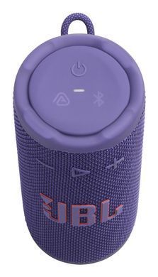 Акустична система портативна з БТ JBL (JBLGRIPPUR) [503440]
