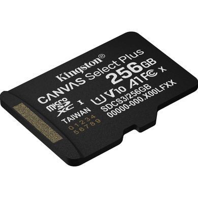 Kарта пам&rsquo;яті KINGSTON (SDCS3/256GBSP) [304047]