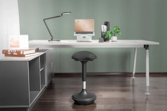 Стілець DIGITUS Ergonomic Standing Chair (DA-90422) [111273]