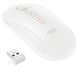 Миша XO M13 Tri-mode Bluetooth Wireless Silent White (M13 White) [202536], фото 1