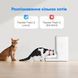 Смарт годівниця CATLINK Automatic Feeder Fresh 2 - Standard (6972884750941) [800175], фото 10