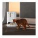 Смарт годівниця PETKIT Yumshare Dual-Hopper with Camera (P591) [805348], фото 9