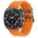 Смарт-годинник Samsung Galaxy Watch Ultra (2025) Titanium Gray (SM-L705FZA2SEK) [710944], фото 1
