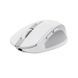 Миша Trust OZZA compact, BT/WL/USB-A, білий (24933_TRUST) [104101], фото 5